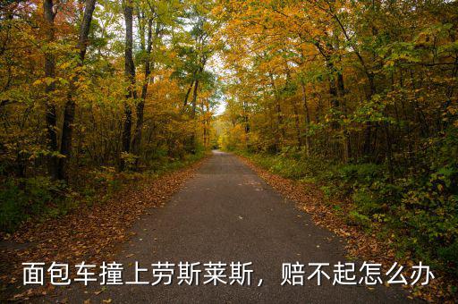 面包車撞上勞斯萊斯，賠不起怎么辦