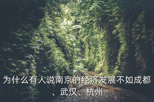 為什么有人說(shuō)南京的經(jīng)濟(jì)發(fā)展不如成都、武漢、杭州