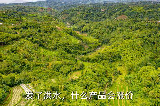 發(fā)了洪水，什么產(chǎn)品會(huì)漲價(jià)