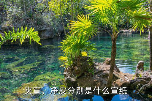 夾宣，凈皮分別是什么宣紙