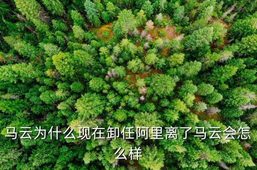 馬云為什么現在卸任阿里離了馬云會怎么樣
