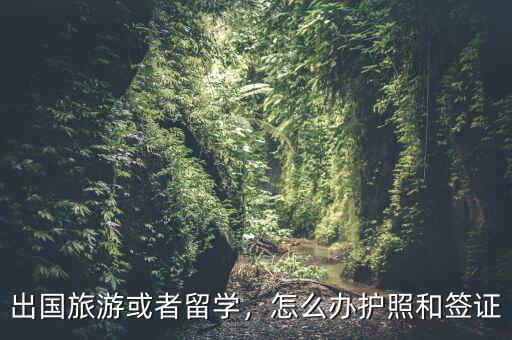 出國旅游或者留學(xué)，怎么辦護照和簽證