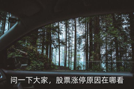 問(wèn)一下大家，股票漲停原因在哪看