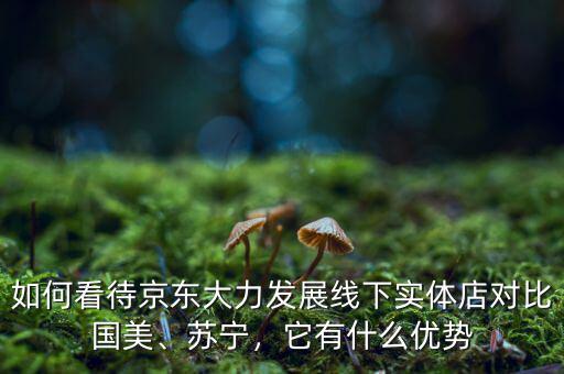 如何看待京東大力發(fā)展線下實(shí)體店對(duì)比國(guó)美、蘇寧，它有什么優(yōu)勢(shì)