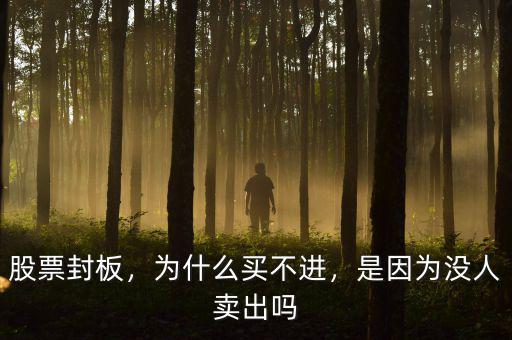 股票封板，為什么買不進(jìn)，是因為沒人賣出嗎