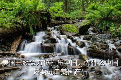 美國(guó)已經(jīng)全方位打壓中國(guó)，為什么中國(guó)還要進(jìn)口美國(guó)產(chǎn)品