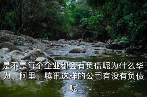 是不是每個(gè)企業(yè)都會(huì)有負(fù)債呢為什么華為、阿里、騰訊這樣的公司有沒(méi)有負(fù)債呢