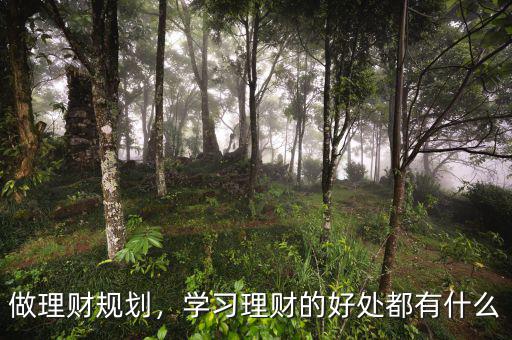 做理財規(guī)劃，學習理財?shù)暮锰幎加惺裁? class=
