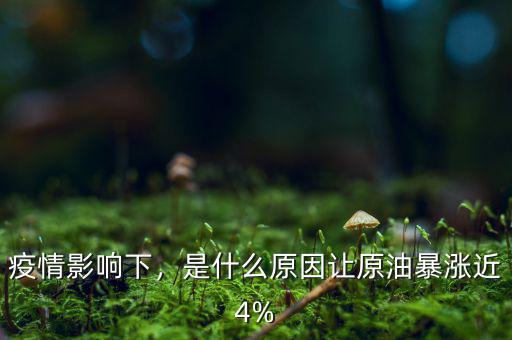 疫情影響下，是什么原因讓原油暴漲近4%