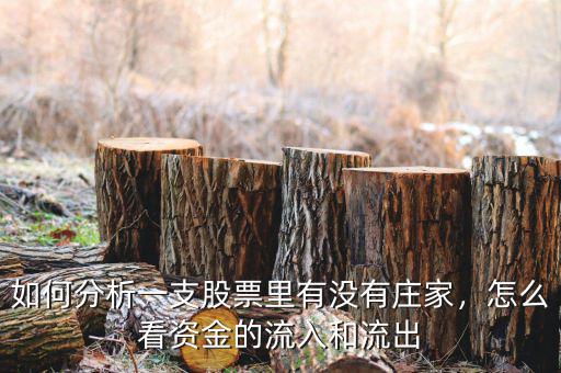 如何分析一支股票里有沒(méi)有莊家，怎么看資金的流入和流出