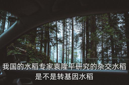 我國的水稻專家袁隆平研究的雜交水稻是不是轉基因水稻