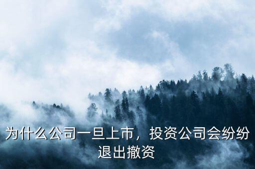 為什么公司一旦上市，投資公司會(huì)紛紛退出撤資