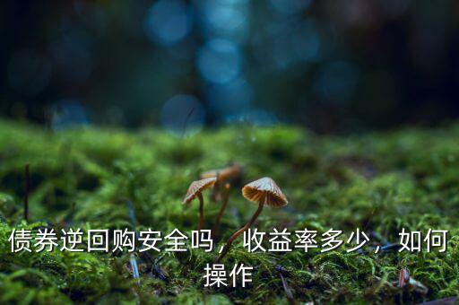 債券逆回購安全嗎，收益率多少，如何操作