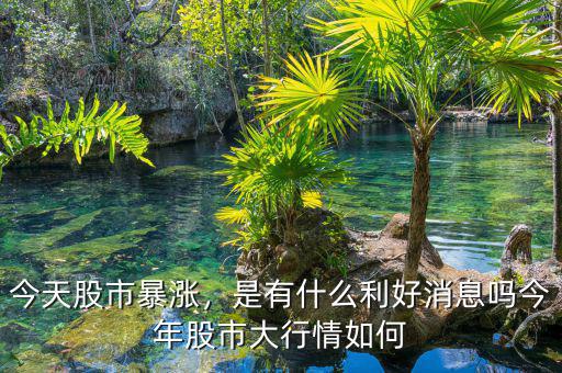 今天股市暴漲，是有什么利好消息嗎今年股市大行情如何