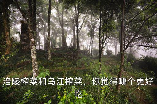 涪陵榨菜和烏江榨菜，你覺(jué)得哪個(gè)更好吃