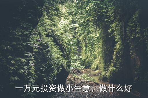 一萬(wàn)元投資做小生意，做什么好