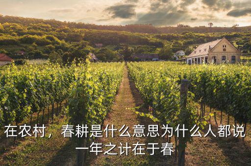 在農(nóng)村，春耕是什么意思為什么人都說(shuō)一年之計(jì)在于春