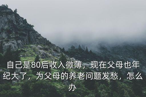 自己是80后收入微薄，現(xiàn)在父母也年紀(jì)大了，為父母的養(yǎng)老問題發(fā)愁，怎么辦