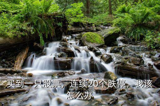 股票連續(xù)跌停什么時(shí)候買入,連續(xù)跌停的股票是誰在買入