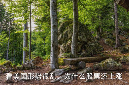 看美國形勢(shì)很亂，為什么股票還上漲