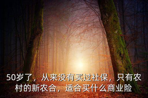 50歲了，從來沒有買過社保，只有農(nóng)村的新農(nóng)合，適合買什么商業(yè)險