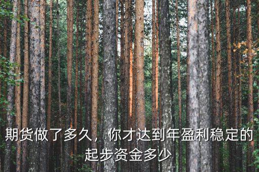 期貨做了多久，你才達(dá)到年盈利穩(wěn)定的起步資金多少