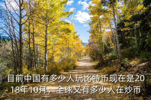 目前中國有多少人玩比特幣現(xiàn)在是2018年10月，全球又有多少人在炒幣