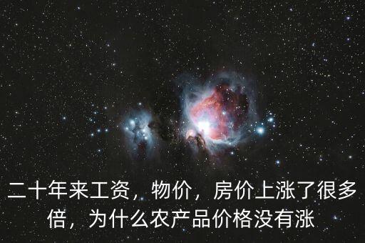 二十年來(lái)工資，物價(jià)，房?jī)r(jià)上漲了很多倍，為什么農(nóng)產(chǎn)品價(jià)格沒有漲