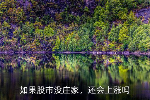 如果股市沒(méi)莊家，還會(huì)上漲嗎