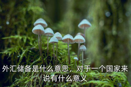 外匯儲備是什么意思，對于一個國家來說有什么意義