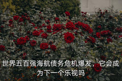 世界五百強(qiáng)海航債務(wù)危機(jī)爆發(fā)，它會成為下一個(gè)樂視嗎
