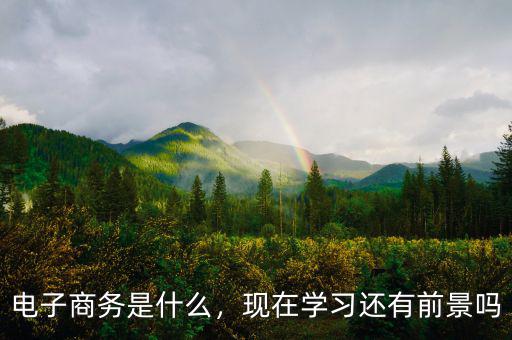 電子商務是什么，現(xiàn)在學習還有前景嗎