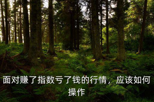 面對(duì)賺了指數(shù)虧了錢的行情，應(yīng)該如何操作