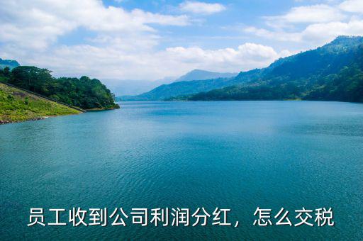 員工收到公司利潤(rùn)分紅，怎么交稅