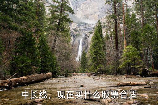 中長(zhǎng)線，現(xiàn)在買(mǎi)什么股票合適