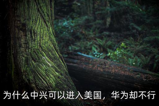 為什么中興可以進(jìn)入美國(guó)，華為卻不行