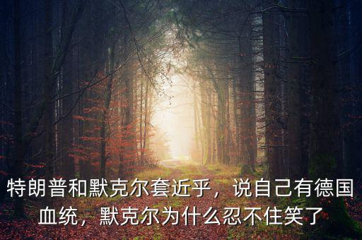 特朗普和默克爾套近乎，說自己有德國血統(tǒng)，默克爾為什么忍不住笑了
