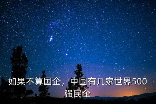 如果不算國(guó)企，中國(guó)有幾家世界500強(qiáng)民企