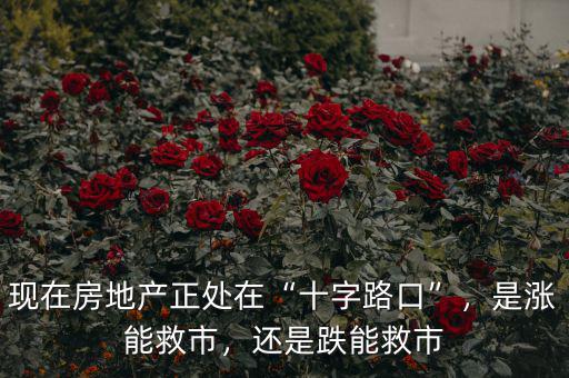 現(xiàn)在房地產(chǎn)正處在“十字路口”，是漲能救市，還是跌能救市