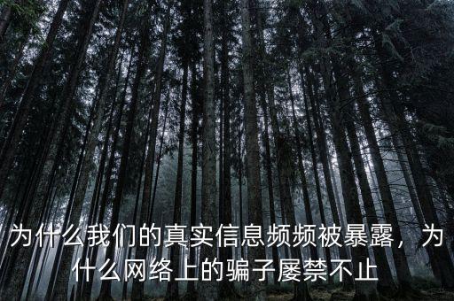為什么我們的真實信息頻頻被暴露，為什么網(wǎng)絡(luò)上的騙子屢禁不止