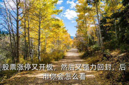 股票漲停又開板，然后又強力回封，后市你會怎么看