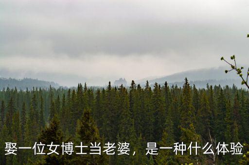 娶一位女博士當老婆，是一種什么體驗