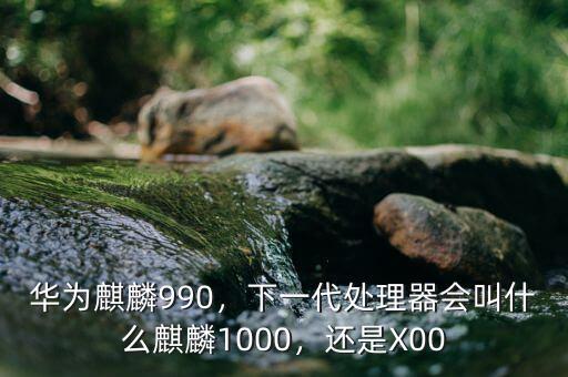 華為麒麟990，下一代處理器會(huì)叫什么麒麟1000，還是X00