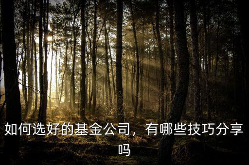 如何選好的基金公司，有哪些技巧分享嗎