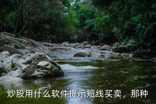 炒股用什么軟件提示短線買賣，那種