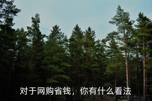 對于網(wǎng)購省錢，你有什么看法