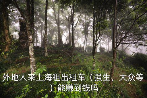 外地人來上海租出租車（強(qiáng)生，大眾等）能賺到錢嗎