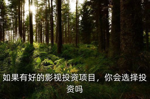 如果有好的影視投資項(xiàng)目，你會(huì)選擇投資嗎