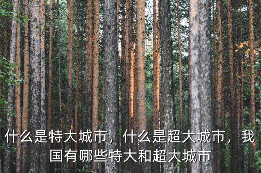 什么是特大城市，什么是超大城市，我國(guó)有哪些特大和超大城市