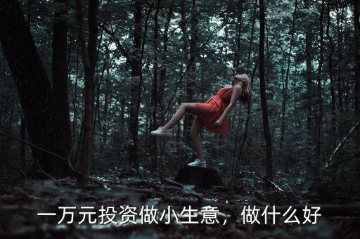 一萬(wàn)元投資做小生意，做什么好